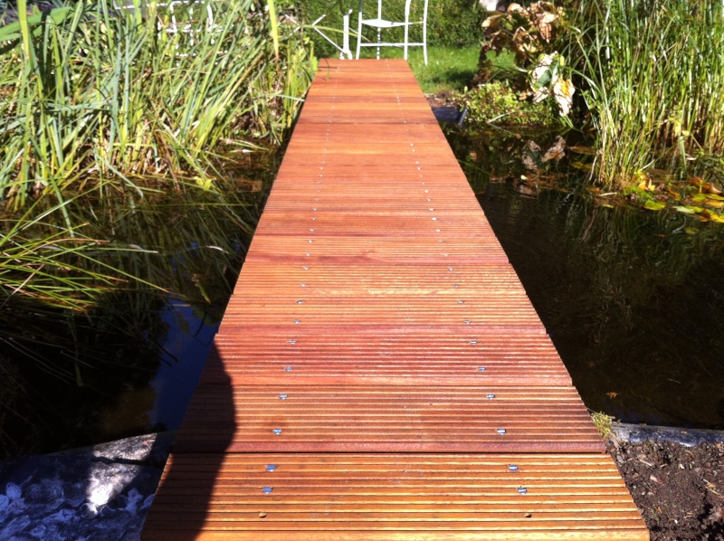 Pont Etang  Planch10