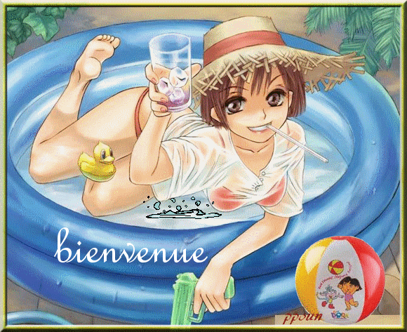 présentation gobin gerard 09060310