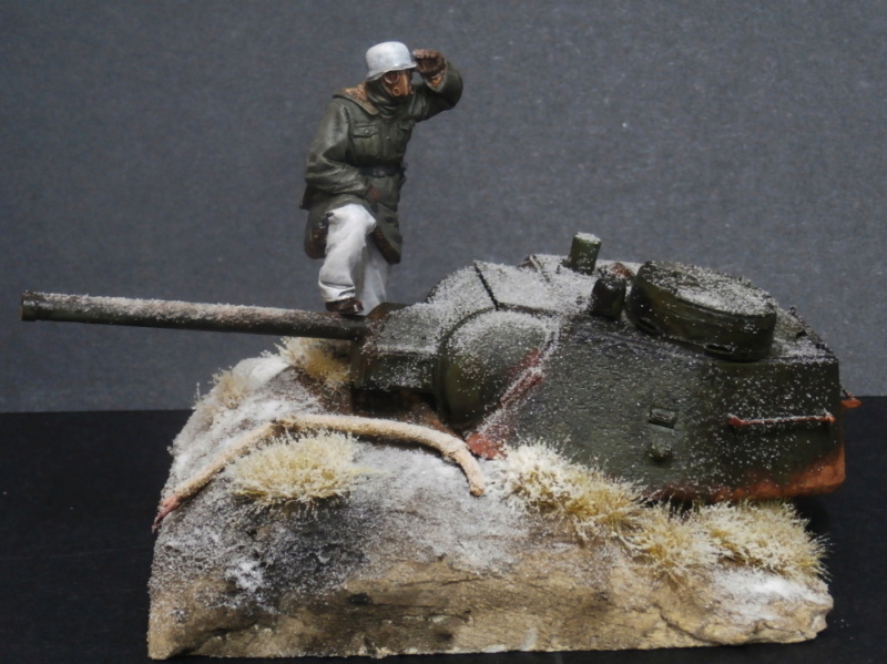 "Wolfland" Fig. Alternity Miniatures 1/35 (FINI) P8020012