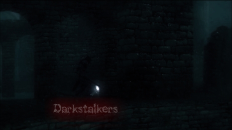 The Darkstalkers (new thread) Darkwo10