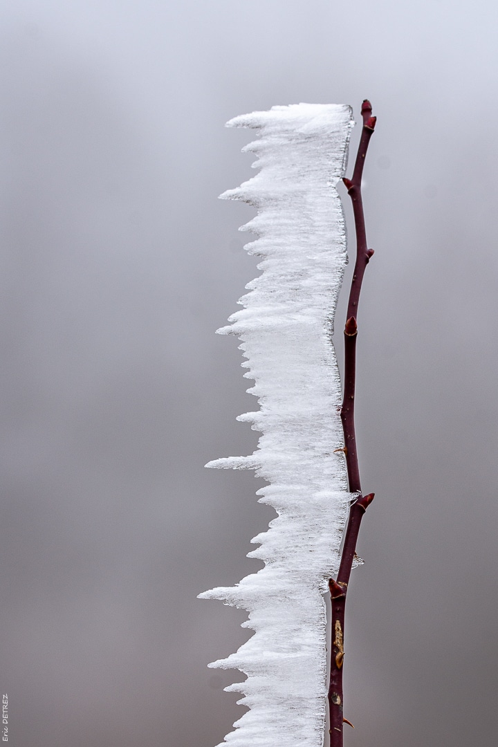 Petit tour dans la vallée du Drac et alentours _dsc0021