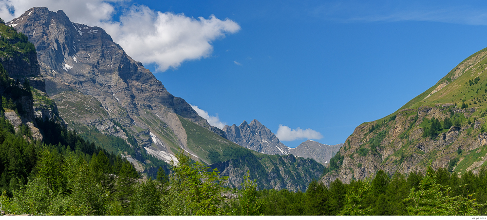 7 juillet 2018 Vallon du Fournel _dsc7810