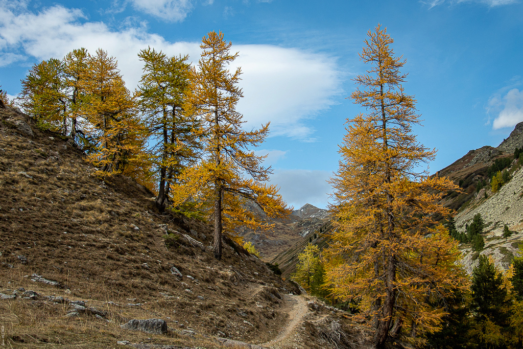 Vallée de la haute Clarée Dsc_1215