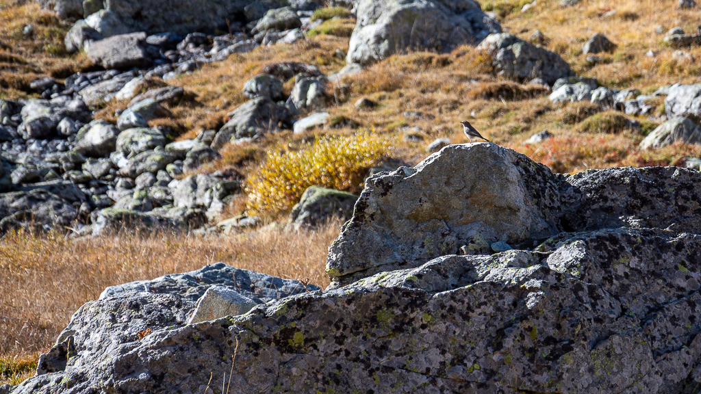 Col d'Arsine Dsc_1310