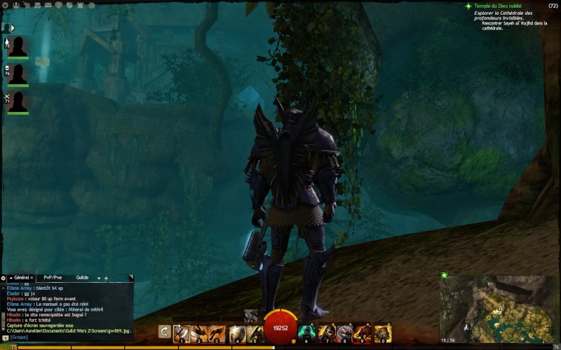 Guild Wars 2 ! Gw07010