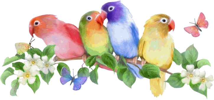 ParrotGirl's Bird World