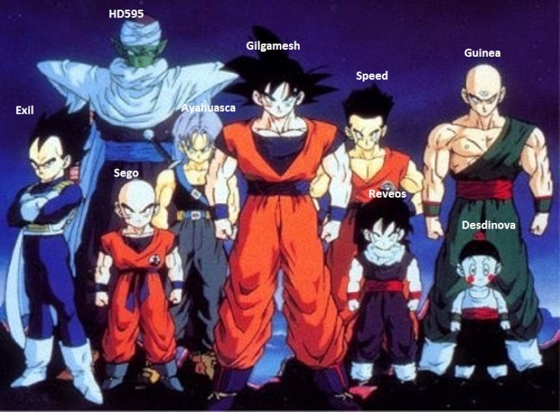 Duos en photo - Page 3 Dbz_ch10