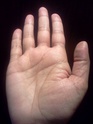 what is importance of symbol " M " in palmistry ??? Img01812