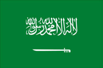 HELP! - Creative ideas for Saudi National Day Needed!!! Saudi-10