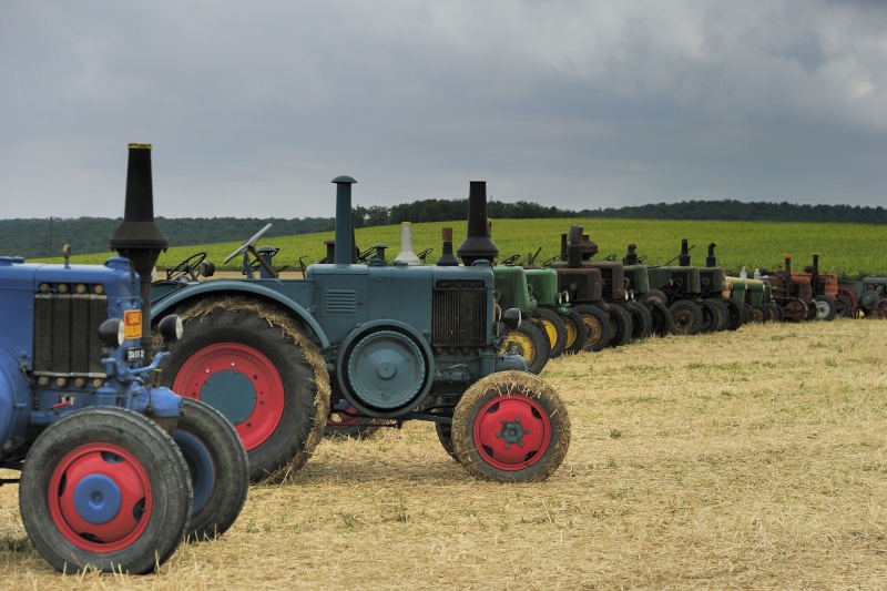 expo du champ du fer de cet t  Aurad Tracte18