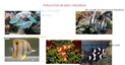 projet aquarium recifal  - Page 2 Aqua_k12