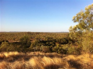 Flat Creek Station - near Georgetown Qld 095a_f10