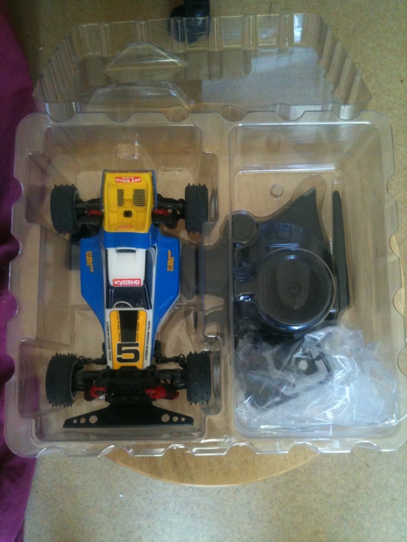 vends 2 lots mini z buggy  Lot_110