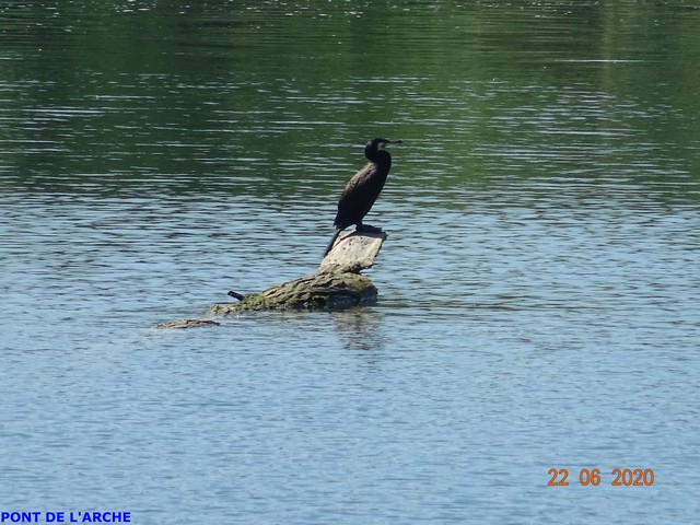 [Autres voyages/France] ESCAPADE SUR LES BORDS DE SEINE Dsc01417