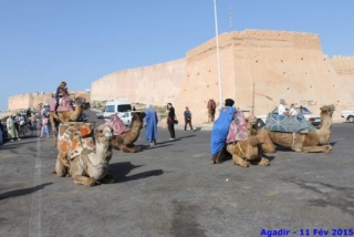 [Maroc Camp/Dernières nouvelles] Nouveau camping a Agadir - Page 10 Img_9420