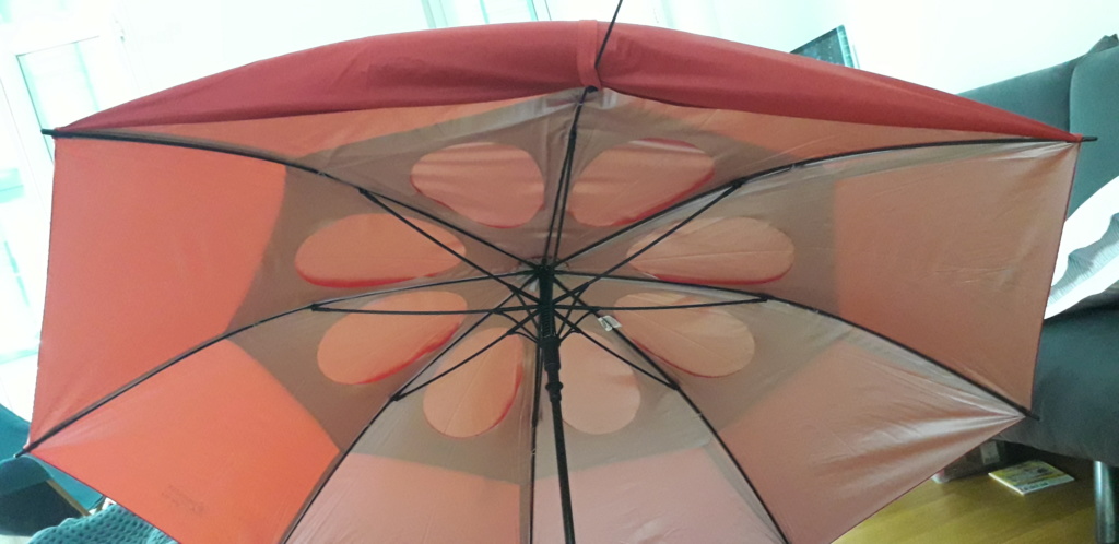 Mon parapluie modifié... (Paravo? ) - Page 2 20190810