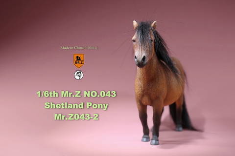 Les animaux de Mr Z 11524310