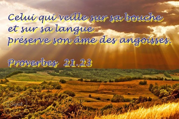 Partage de petites phrases de sagesse entre membres - Page 9 90cf4b10