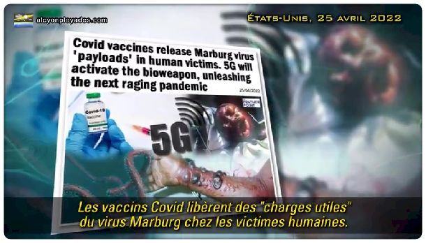 ATTENTION- DANGER: Nous préparerait-on une nouvelle Pandémie avec le Marburg, le cousin de l'Ebola ? - Page 2 Vlcsna10