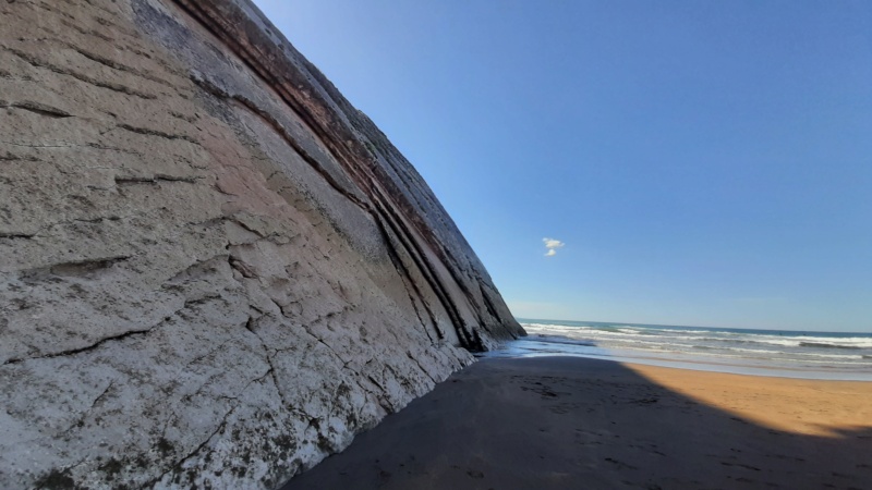 Flysch.......... 20220910