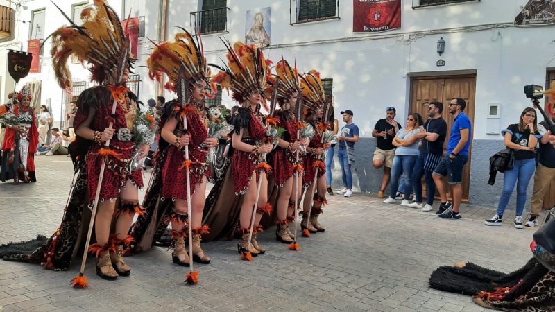 Fiestas  paso a paso. Sábado (Ofrenda floral y coronación de reinas) 20230486