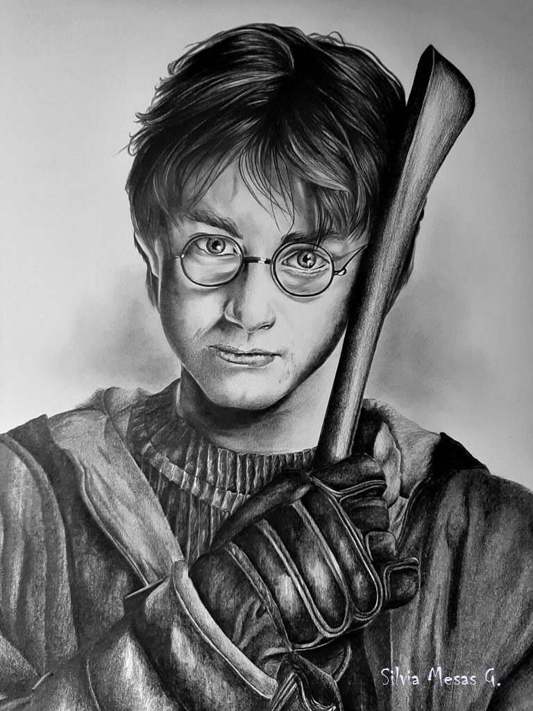 Harry Potter Harryp10