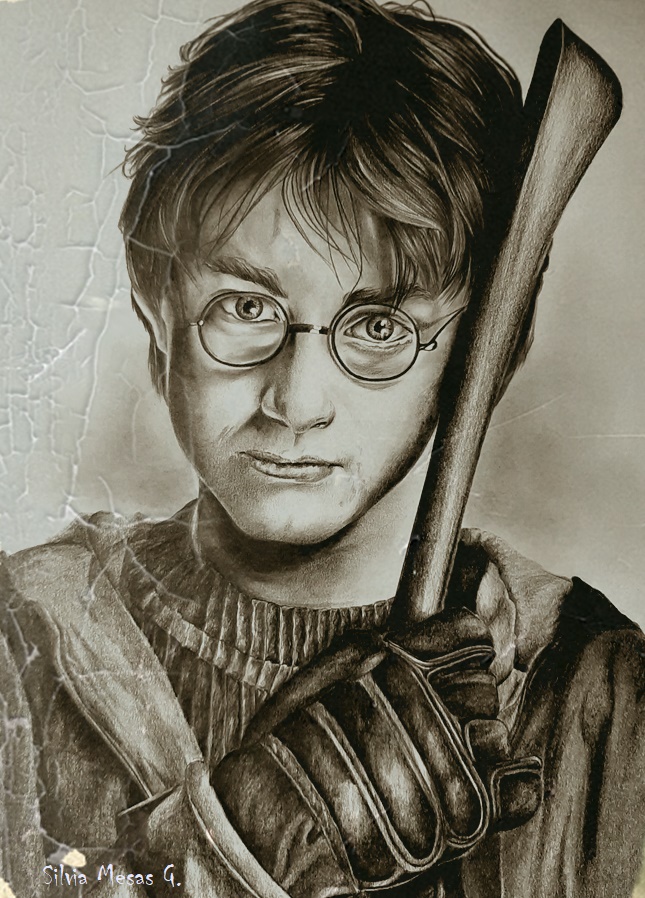 Harry Potter Harryp11