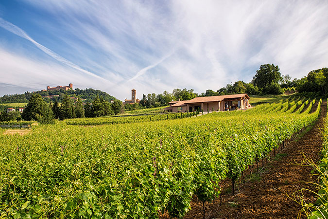 WHITE & YELLOW, SERATA IN COLLINA TRA RIESLING E ZAFFERANO ESTIVO 14 Luglio 2018 Finige10