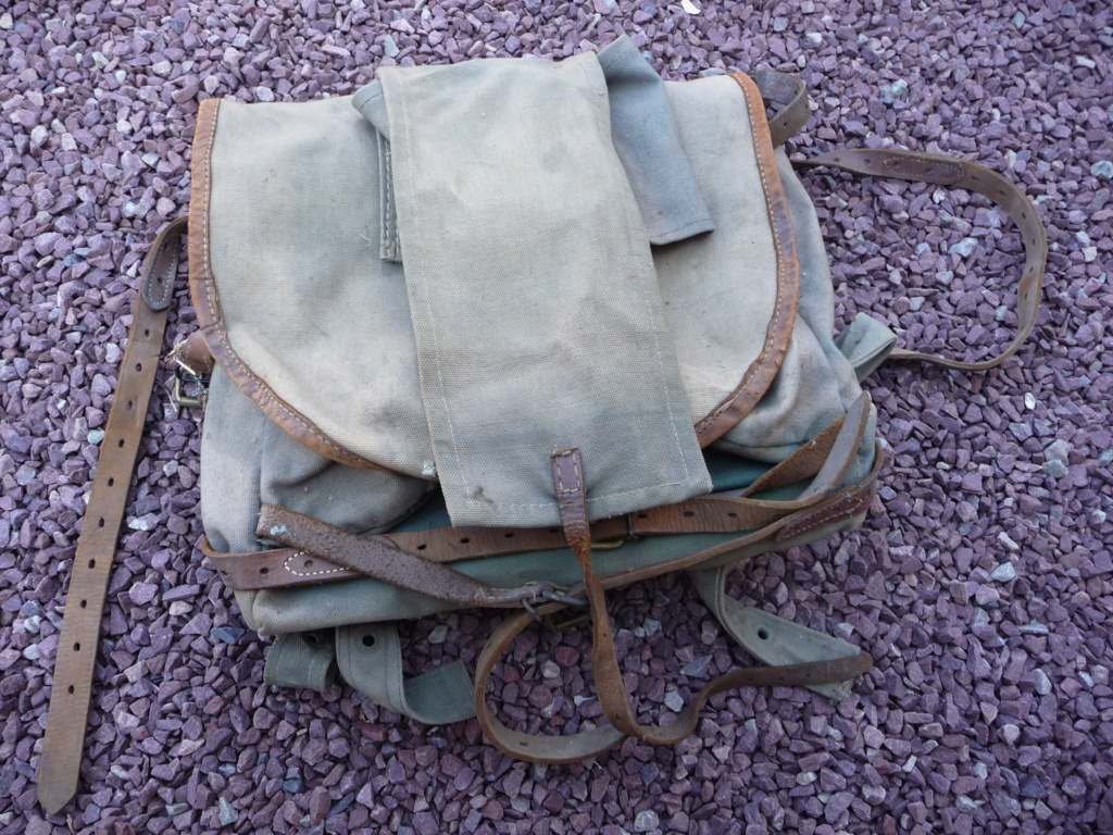 Les sacs à dos ersatz  P1270269