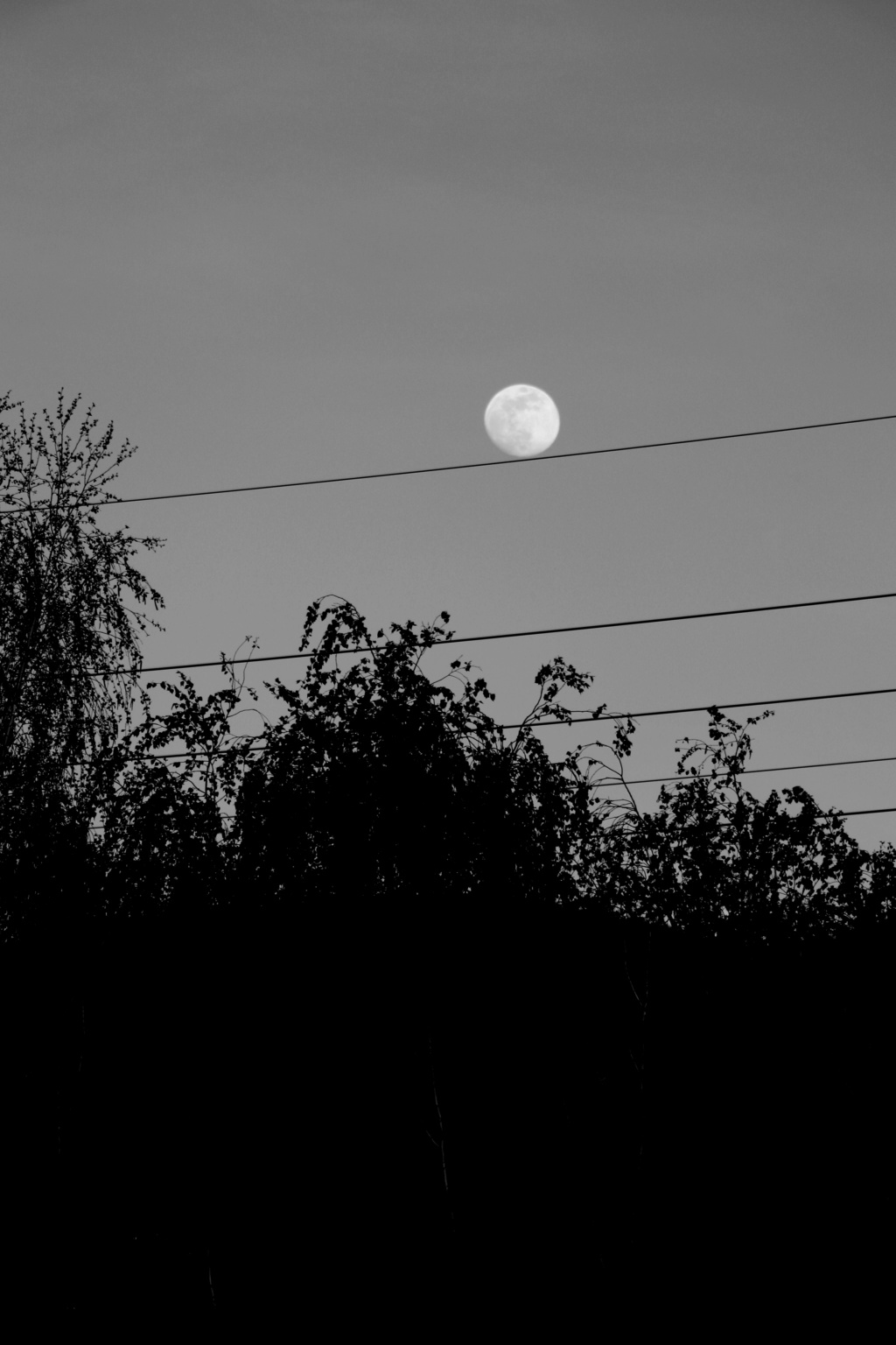  The Moon/La Lune. - Page 24 Lune_l10