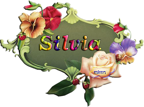 Nombres con S - Página 13 Silvia10