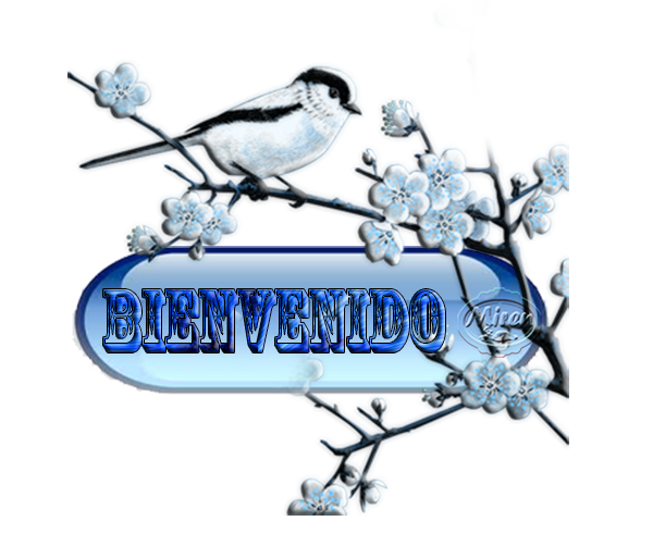 cartel bienvenid@ - Página 11 Xbienv10