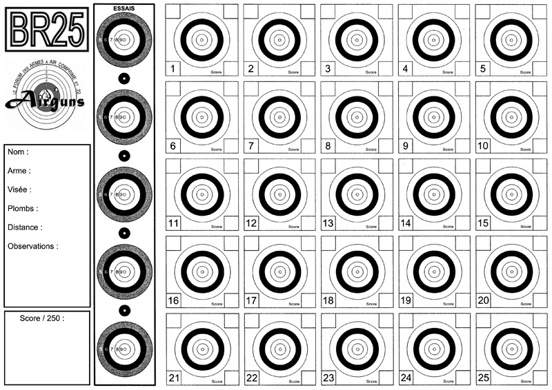 Concours mensuel BR carabines loisirs - Page 2 Br25an10