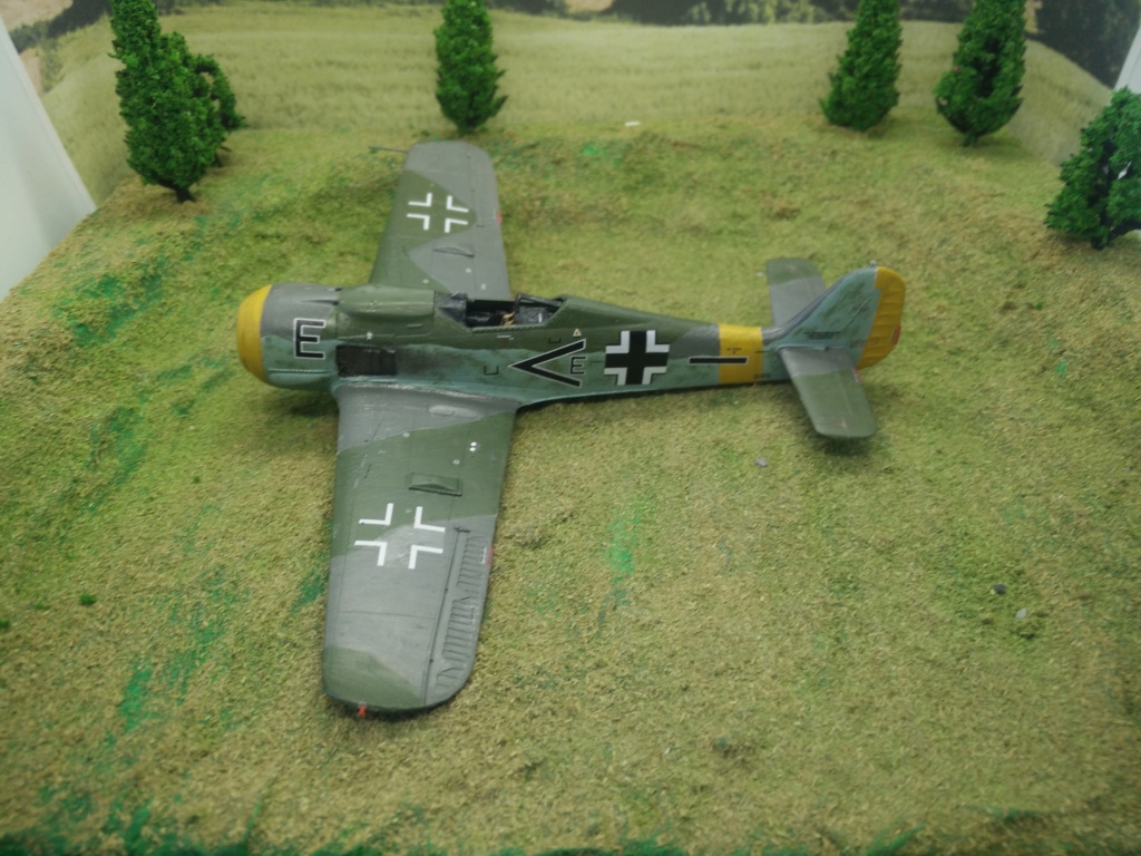 [ REVELL] FW 190 F 8 ( FINI) - Page 2 Img_2122