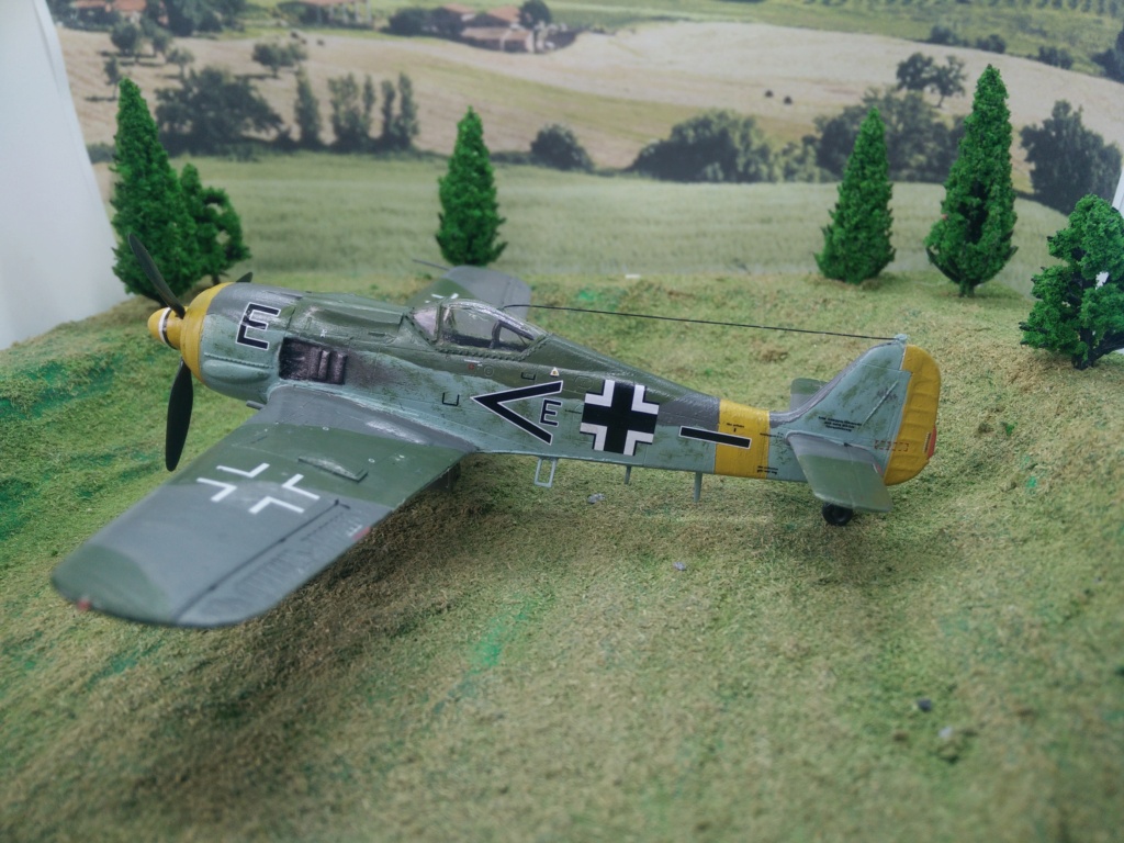 [ REVELL] FW 190 F 8 ( FINI) - Page 2 Img_2127