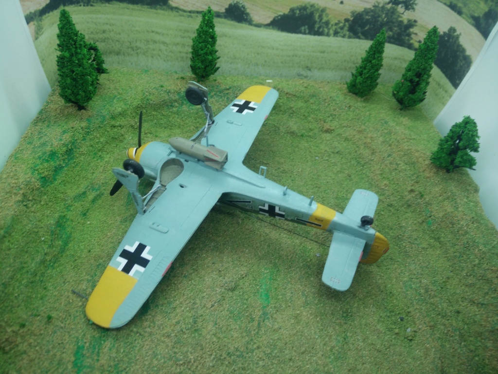 [ REVELL] FW 190 F 8 ( FINI) - Page 2 Img_2129
