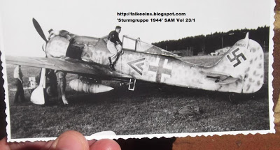 [Eduard] Focke-Wulf 190 A-8 R8  "FINI"  Moritz10