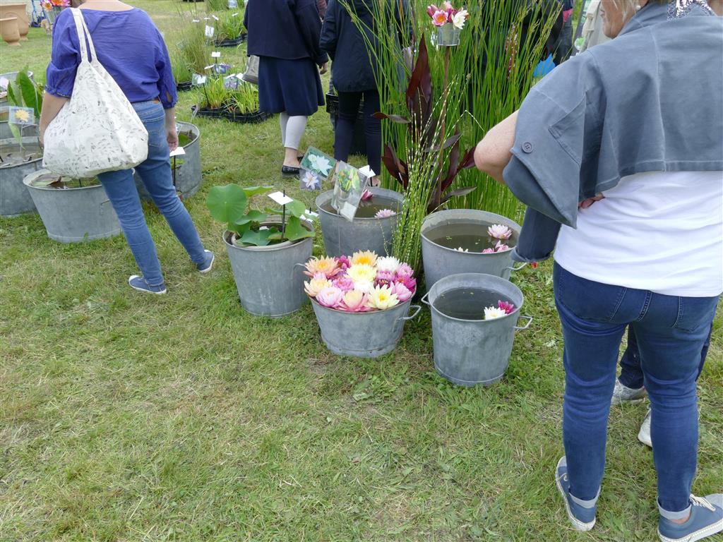 Fête des plantes à Prissé la Charrière (79) P1180819