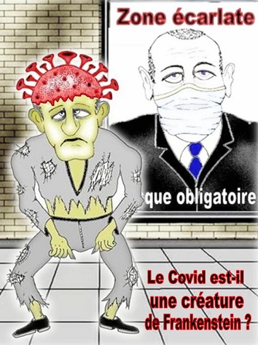 Coronavirus :  humour   ...  obscur  ou pas   - Page 20 Covid_23