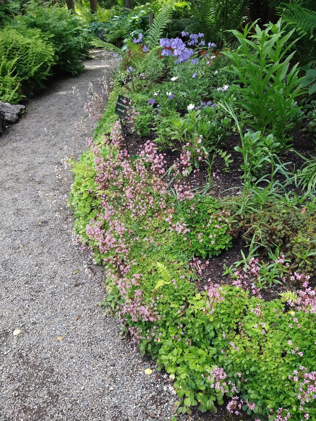 Les fabuleux Jardins de Métis sur Radio-Canada OHdio ! Image596