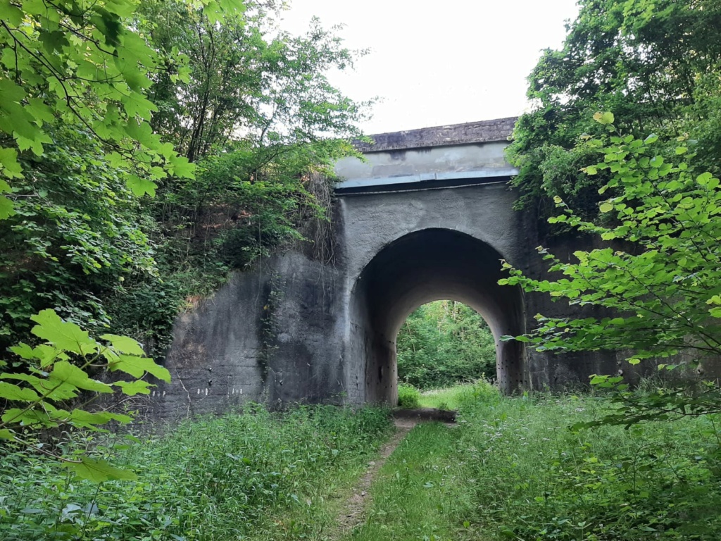 Un petit avant / après  B74ba210