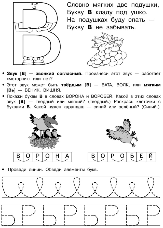 Согласный звук и буква «В» Novik105