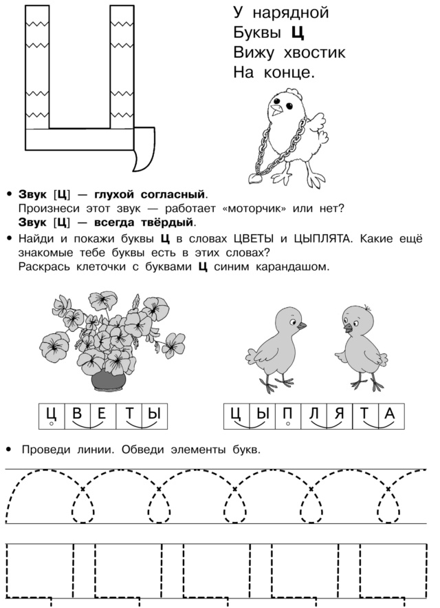 Согласный звук и буква «Ц» Noviko59