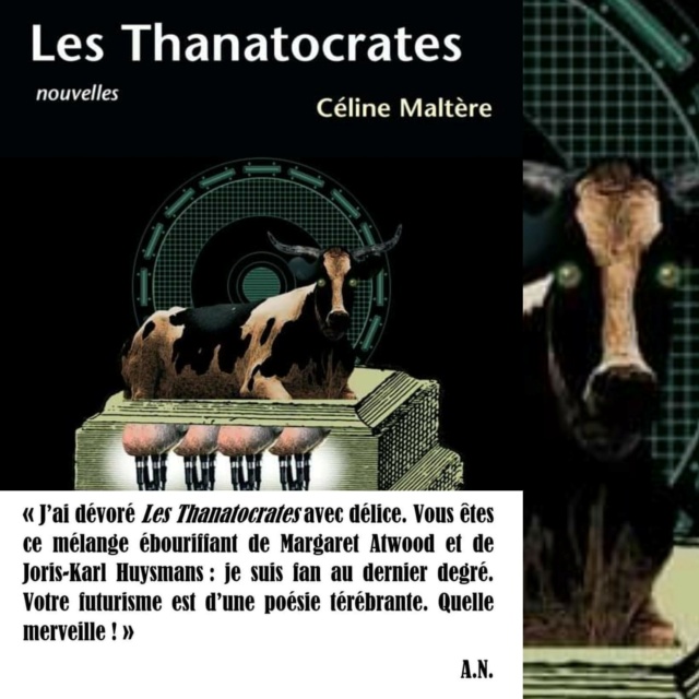 Sur Les Thanatocrates Amzoli11