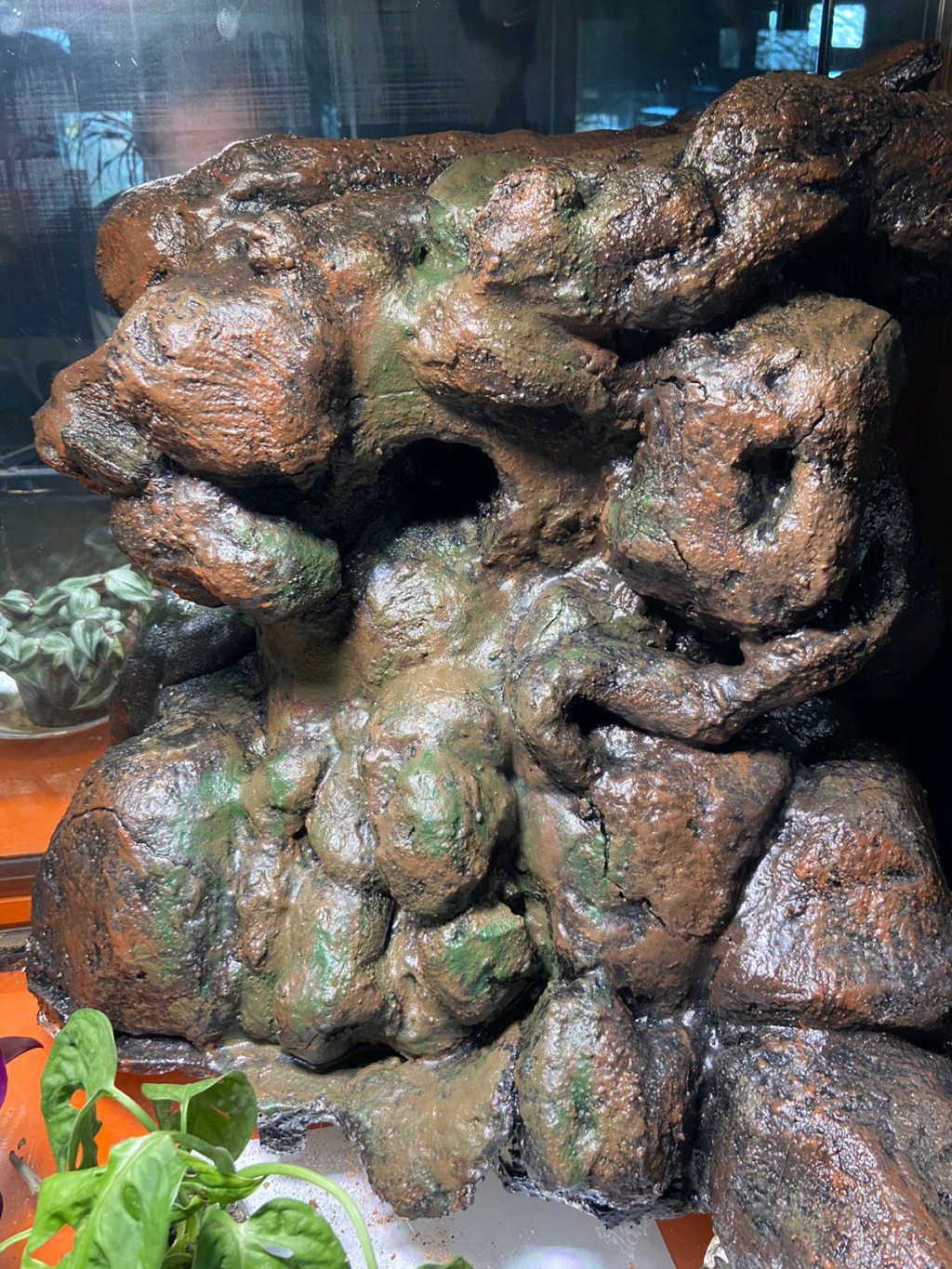 Substrat pour terrarium à dendrobates Index11