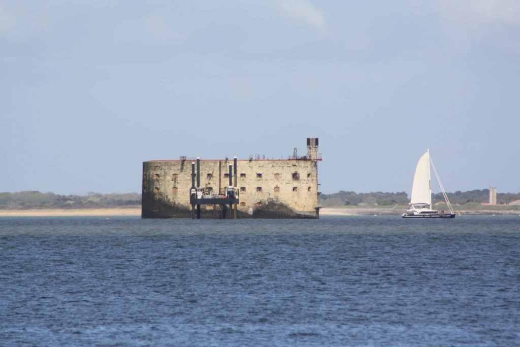 Photos divers de Fort Boyard 2024 (Internautes + hors production) - Page 2 43294110