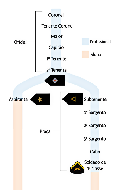 HIERARQUIA Picsar12