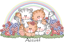 Accueil