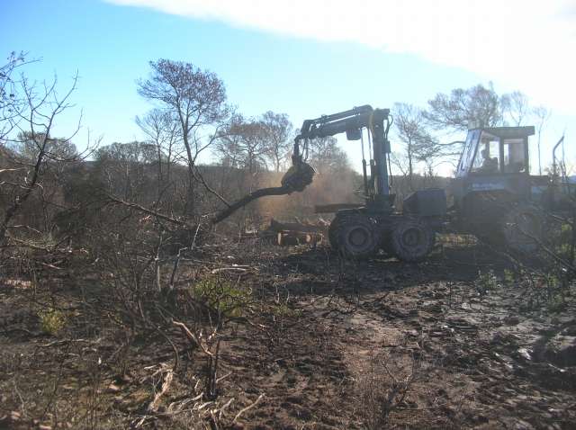 Et après les incendies.... Dscn7617