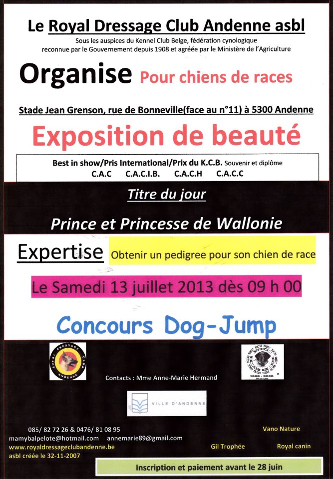 13 juillet 13= expo du Kennel club belge à Andenne. (quelques photos) Andenn10
